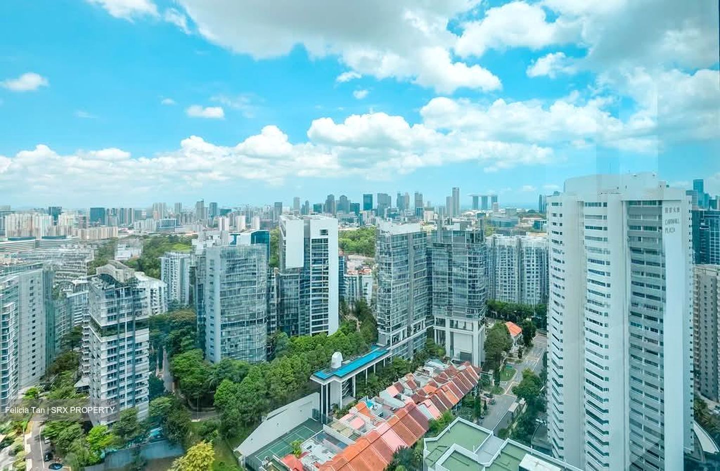 The Ritz-Carlton  (D9), Condominium #584883441